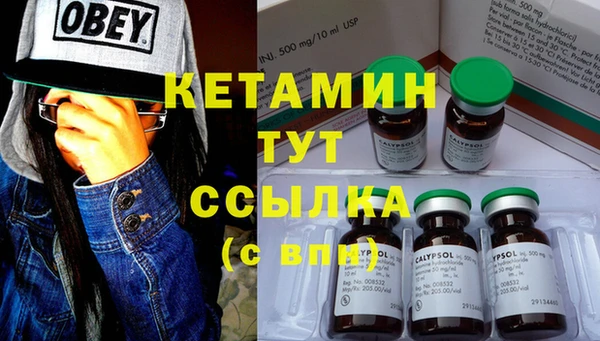 дурь Бородино