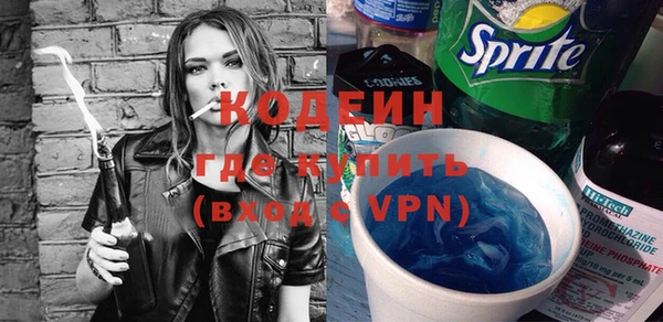 дурь Бородино