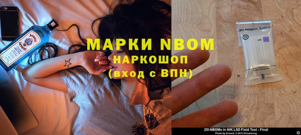 дурь Бородино