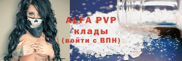 дурь Бородино
